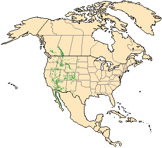 Bighorn Sheep Map