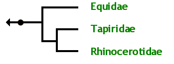 The Perissodactyl Family Tree: Equidae, Tapiridae, Rhinocerotidae